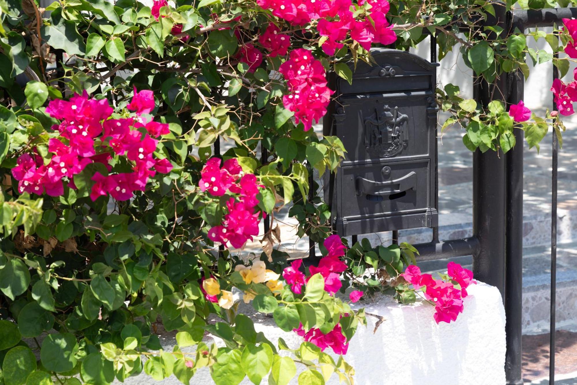 Limassol Akrotiri Beach Vine Cottage A Exteriér fotografie